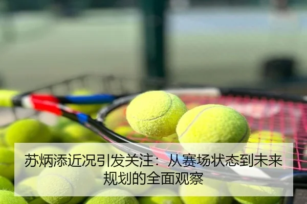 苏炳添近况引发关注：从赛场状态到未来规划的全面观察