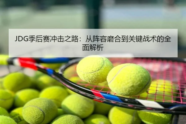 JDG季后赛冲击之路：从阵容磨合到关键战术的全面解析
