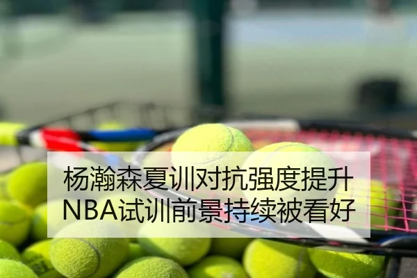 杨瀚森夏训对抗强度提升 NBA试训前景持续被看好
