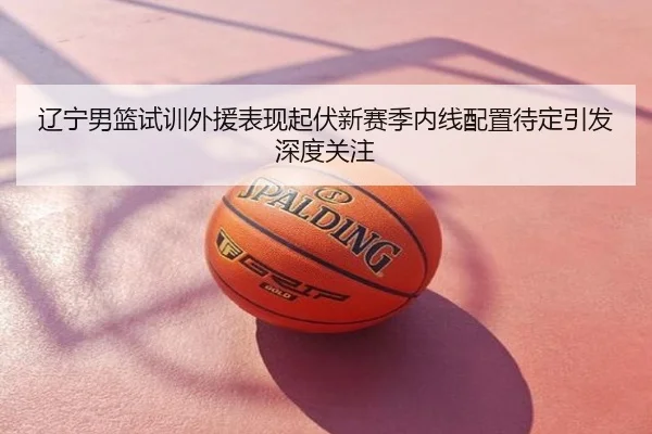 辽宁男篮试训外援表现起伏新赛季内线配置待定引发深度关注